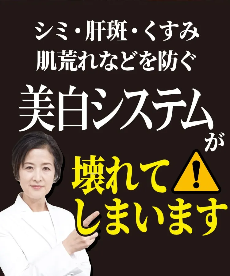 シミ・くすみ肌荒れなどを防ぐ美システムが壊れてしまいます